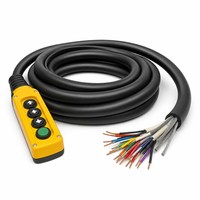 محطة تحكم معلقة للسيارات، ضفيرة أسلاك سيارات، موصل نحاسي مجدول عالي النقاء، تصنيف IP67/IP68، 30V-60V تيار مستمر