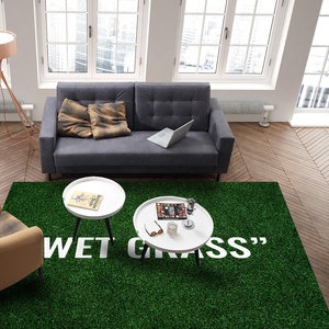 Alfombra de área verde de moda, suave y afelpada, decoración del hogar, Virgil Abloh IK Markerad WET GRASS, 4 x 6 pies - Product Image 2