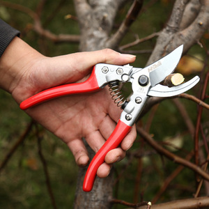 Ashi Pruning Shears V8 Red Knight Bypass Carbon Steel 20-30 Mm Trimming Diameter <b>Garden</b> Tool - Product Image 5