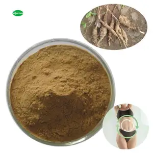 Alta calidad 100% natural Raphanus raphanistrum Extracto de rábano salvaje