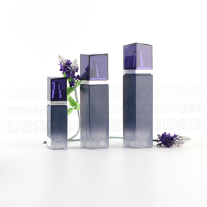 Hopeck 120ml 100ml 30ml 50g sang trọng chăm sóc da chai thủy tinh thiết lập với hình dạng vuông và Lotion bơm Top - Product Image 6