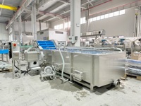 LWT Bubbelwasmachine voor het reinigen van groenten en fruit, SS304 roestvrij staal, industriële voedselverwerkingsapparatuur