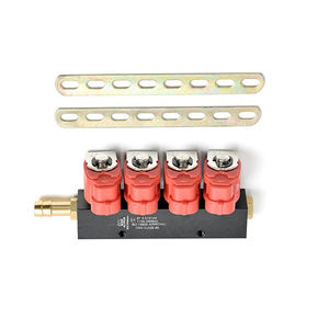 Inyectores de riel Gnv Lpg para coche, Gas Natural, 4cyl, <span class=keywords><strong>precio</strong></span> de fábrica, 3 unidades - Product Image 1