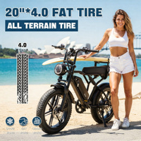 Vélo électrique Ecoride V8 750 W, pneus larges 15 Ah, livraison gratuite, double selle, tout-terrain
