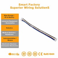 Rangkaian Kabel & Harness Kabel Adaptor Berkualitas Tinggi yang Dapat Disesuaikan untuk Mesin Komputer dengan Material PBT/PVC/PET