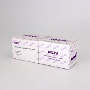 Avibacterium paragallinarum Type <span class=keywords><strong>B</strong></span> HI Test Antigène OIE Standardisé pour la sérologie infectieuse Coryza-Réactif de diagnostic vétérinaire - Product Image 6