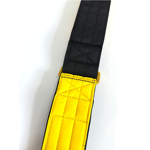 <span class=keywords><strong>Collar</strong></span> de Perro Táctico de Lujo Premium, Acolchado de Neopreno Suave de Nailon, con Hebilla de Liberación Rápida de Aluminio Dorado - Product Image 4