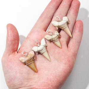 Dents fossilisées fil d'argent enveloppé fossiles dents collier pendentifs vrais fossiles préhistoriques accessoires de bijoux aléatoires - Product Image 3