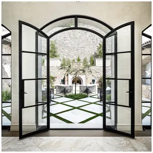 Franse Villa Voorste Boogvormige Buitenkant Aluminium Staal Ijzeren Ingang Hoofdopenslaande Deuren Met Glas