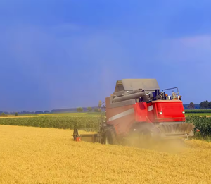 Moissonneuse-batteuse multifonctionnelle pour céréales, machine à couper le blé - Product Image 6