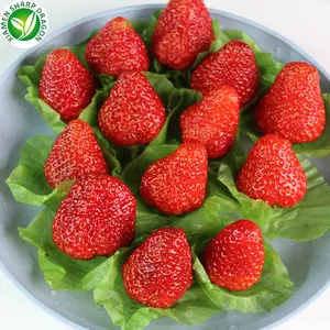 Buy organic freeze strawberries bulk price greenhouse iqf fresh frozen strawberry fruit