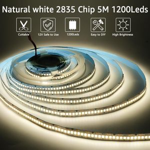 Tira <span class=keywords><strong>de</strong></span> Luces LED <span class=keywords><strong>de</strong></span> 16.4 Pies/33 Pies, 12V/24V, IP20, 240 LED, para Decoración del Hogar - Product Image 4