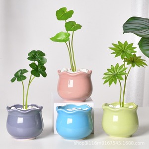 Mini Glazed Ceramic Succulent Planter Set Cute <strong>Cactus</strong> <strong>Pot</strong> <strong>for</strong> Indoor Desktop Home Decor - Product Image 3
