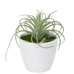 Tillandsia หญ้าเทียมพืชอวบน้ำ,หญ้าเทียมทำจากพลาสติกสำหรับตกแต่งบ้าน