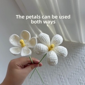 <span class=keywords><strong>Fleurs</strong></span> artificielles éternelles en fil de violette séchée au crochet, faites à la main, de qualité supérieure, pour décoration de table transfrontalière, commande en gros - Product Image 2