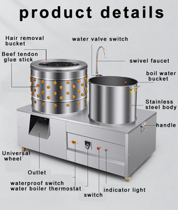 Meilleur <span class=keywords><strong>prix</strong></span> pour une machine à plumer les volailles, à usage domestique, pour plumer les poulets - Product Image 5