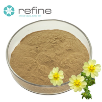 Extrait de racine de Potentilla Alba en poudre 10:1, extrait naturel de Cinquefoil blanc en vrac, fourni par l'usine