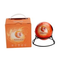 Extincteur automatique miniature TENYU TY01-0600B à poudre sèche ABC rouge 0,6 kg avec alarme 120 dB pour la lutte contre les incendies