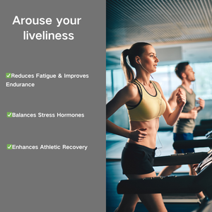 OEM/ODM Premium Tongkat Ali özü 200:1 kapsül | Erkek canlılık - Product Image 2