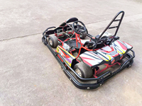 Go Karts Eléctricos Individuales para Adultos, Precio de Fábrica, Fabricante Profesional de Atracciones para Parques de Diversiones