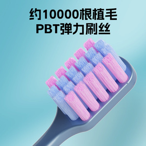 Benoit brosse à dents à poils souples à tête large adulte 5 pièces Premium Clean Care - Product Image 3