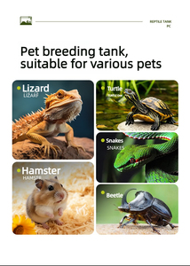 Caja de Cría Transparente de Plástico para Reptiles, Insectos, Peces, Tortugas y Lagartos con Tapa, Hábitat Ecológico Doméstico - Product Image 6