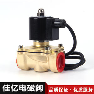 Vente directe d'usine de vannes solénoïdes de fontaine en laiton modèle 2W-500-50 - Product Image 2