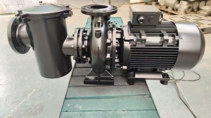 Bomba de Agua Centrífuga de Hierro Fundido <span class=keywords><strong>ASTRAL</strong></span> CADISDON de 15hp, 20hp, 30hp para Riego y Filtro de Piscinas - Product Image 2