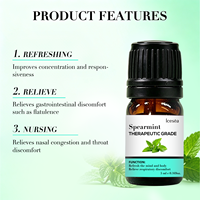 Ensemble d'huiles essentielles de menthe verte à marque privée pour la relaxation apaisante et le soulagement du stress, 100 % pur naturel, aromathérapie OEM