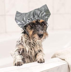 Artículos para Mascotas, Gorro Impermeable para Bañar Perros y Gatos, Gorros de Ducha para Mascotas, Orejeras Largas Ajustables e Impermeables para Perros para Bañar Gatos - Product Image 3