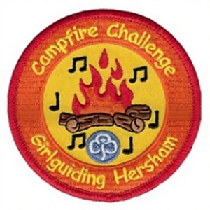 BADGE BRODÉ À LA MACHINE - Product Image 1