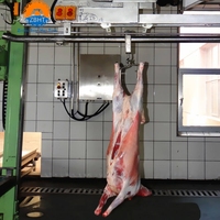 Línea Completa de Matadero para Ovejas/Cabras, 200-500 Cabezas/Hora, Transportador Automático y Despellejado, Diseño de Proyecto Llave en Mano