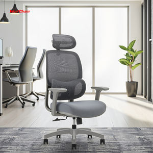 Meilleur fauteuil de bureau ergonomique moderne, réglable, multifonctionnel, à dossier haut, confortable, rotation à 360°, en maille, relaxant, <span class=keywords><strong>Ergohuman</strong></span> - Product Image 1