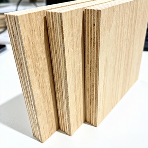 Tablero <span class=keywords><strong>de</strong></span> <span class=keywords><strong>Madera</strong></span> <span class=keywords><strong>de</strong></span> Eucalipto/Teca Tratado Ignífugo 4x8, Núcleo Resistente a las Termitas <span class=keywords><strong>para</strong></span> Revestimiento Estructural, Paneles SIP E0 <span class=keywords><strong>para</strong></span> Uso en Salas <span class=keywords><strong>de</strong></span> Estar - Product Image 3