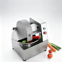 5L RVS Elektrische Fruit-, Groente-, Gember- en Vleesverwerkingsmachine Kleine Automatische Groentebak Snijder/Hakker