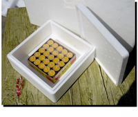 Emballage personnalisé en mousse EPS, faible MOQ, inserts en mousse moulés sur mesure et boîtes en mousse pour emballage de cadeaux électroniques, conception OEM