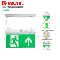 Panneau de sortie d'éclairage d'urgence à LED Vente en gros Panneau de sortie d'urgence à LED suspendu pour balcon CE Panneau de sortie d'urgence à LED 3 heures