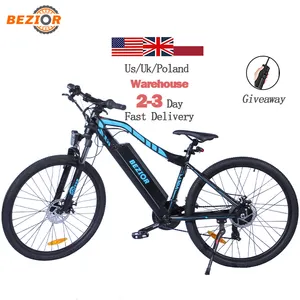 Bezior M1 Pro vélo de ville avec moteur arrière à vitesse unique, 36V, 250W, 27.5 pouces, batterie amovible, vélo de route électrique