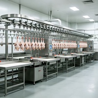 Ensemble complet d'équipements d'abattage de volailles, ligne de traitement automatique de l'abattage de poulets, ligne de production en acier inoxydable