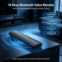 Control Remoto Inalámbrico OEM ODM Personalizado JCXK de 14 Teclas con Activación por Voz para Android TV Set Top Box