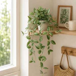 Plante artificielle An Yun en forme d'araignée, 80 cm, plante grimpante en soie, décoration intérieure, vert, rose, rouge, vert foncé, avec ou sans pot - Product Image 3