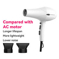 Sèche-cheveux professionnel FirePhoenix 3000 MAX PRO 23000RPM sans balais 3000W séchage rapide pour hôtel et usage domestique avec bouton Turbo Boost