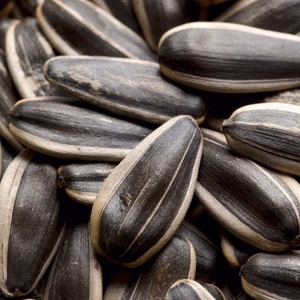 China Origin Roasted Striped <strong>Sunflower</strong> <strong>Seeds</strong> 361 Customizable <strong>Chinese</strong> Flavors Competitive Price Wholesale - Product Image 1