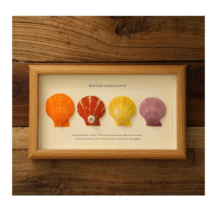 Rectangle Shaped Wall Hanging Crafts Natural Seashell Photo Frame On Sale