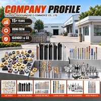 Sisipan Keramik CCGT Berlapis PVD untuk Pemolesan Aluminium, Sisipan Bubut CCGT09 Seri, Alat Bubut Internal Super Keras