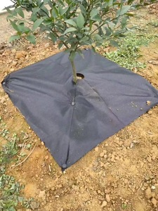 Pour VOUS NONG S54 Tapis de désherbage agricole écologique en plastique tissé anti-UV, <span class=keywords><strong>film</strong></span> noir dégradable en 1-2 ans, Shandong - Product Image 5