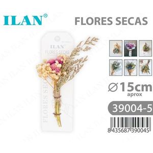 Fleurs séchées ILAN, bouquet décoratif d'environ 15 cm - Product Image 3