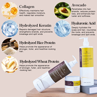 Sampo Minyak Argan Bebas Sulfat untuk Pertumbuhan Rambut, Sampo Anti Rambut Rontok dengan Keratin dan Biotin, Shea Butter, Label Pribadi Grosir