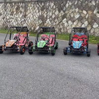2024 nouveau Design 4 temps course Go Karts pour adultes 500cc moteur 4x4 électrique moteur à essence arbre Buggy pour une utilisation en extérieur