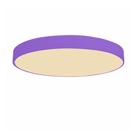 Plafonnier LED rond de haute qualité avec garantie de 5 ans pour l'intérieur